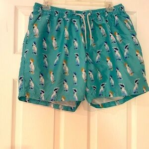 FSBN Catch The Wave Swim Trunks in cockatiel print - XL